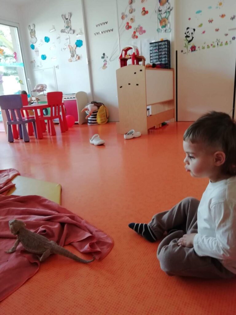 PHOTO D'UNE TORTUE ET D'UN LÉZARD POUR LA JOURNÉE DES ANIMAUX À LA CRÈCHE DES MINIS