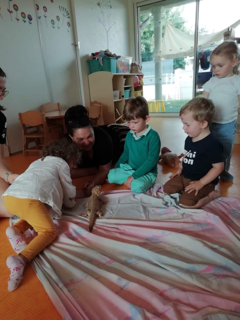 PHOTO D'UNE TORTUE ET D'UN LÉZARD POUR LA JOURNÉE DES ANIMAUX À LA CRÈCHE DES MINIS